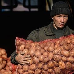 Таджикские фрукты — это дар природы: ниат «ховар» представляет сельскохозяйственное богатство таджикистана